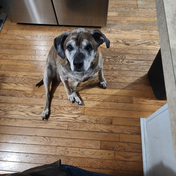 Meet Your Posher, Amanda!! - Picture 2 of 8